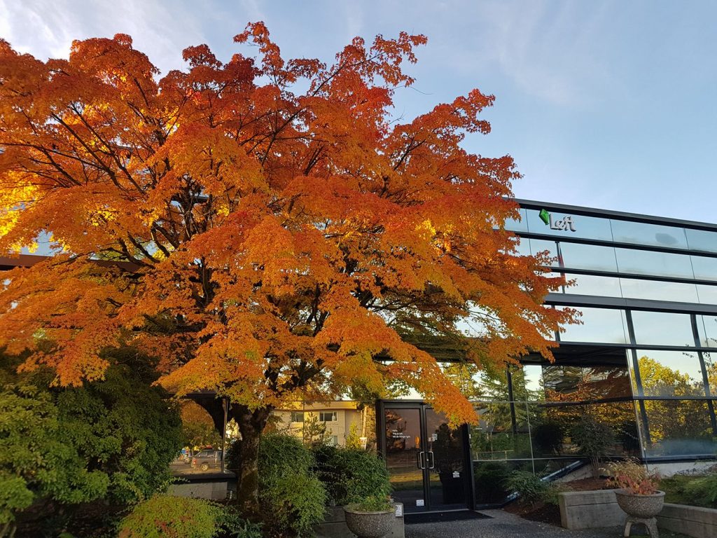 Left Technologies in Maple Ridge, BC